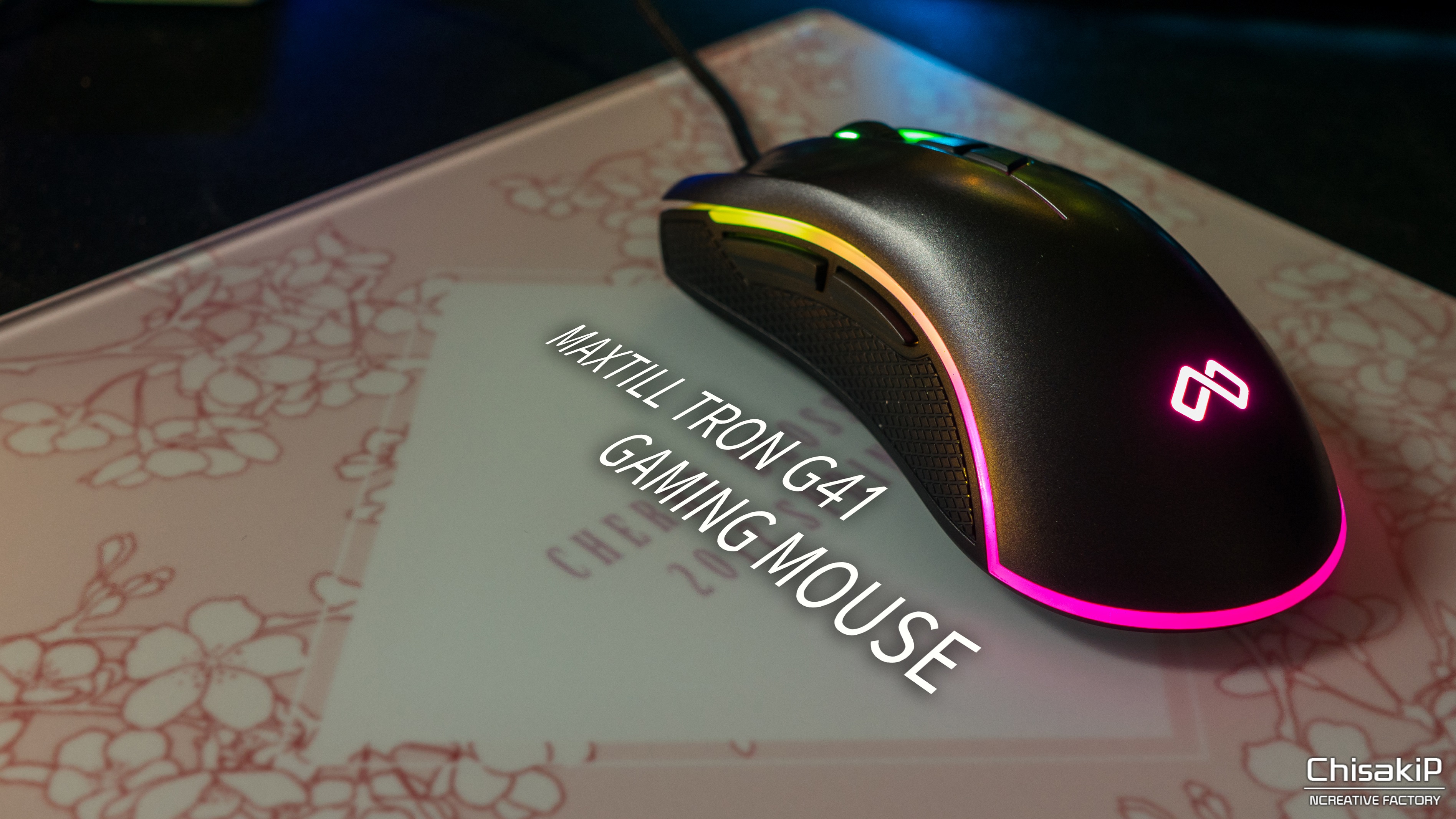 MAXTILL TRON G41 게이밍 마우스 필드테스트. > 리뷰/체험기 | 퀘이사존 QUASARZONE