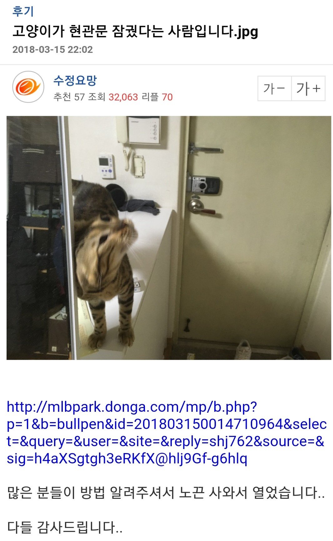 고양이가 자꾸 사고를 칩니다 > 유머게시판 | 퀘이사존 QUASARZONE