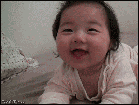21.gif