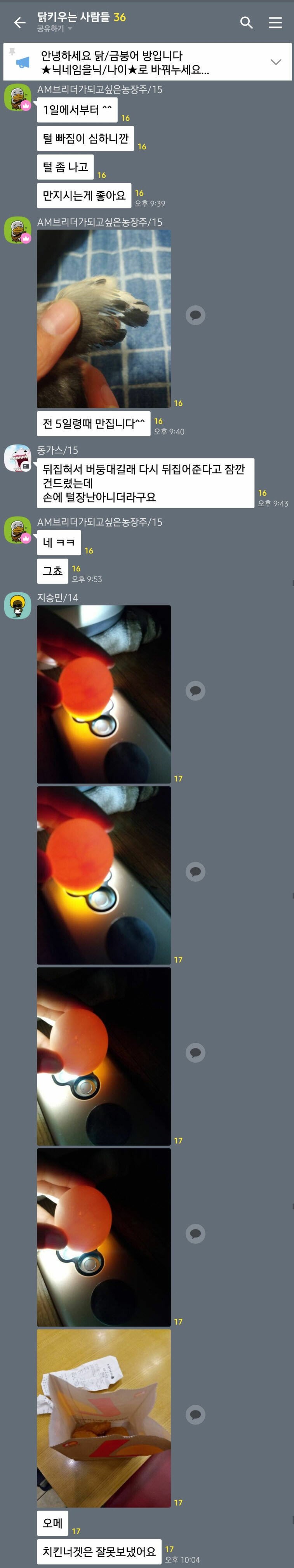 닭키우기 단톡방 대참사 > 유머게시판 | 퀘이사존 QUASARZONE