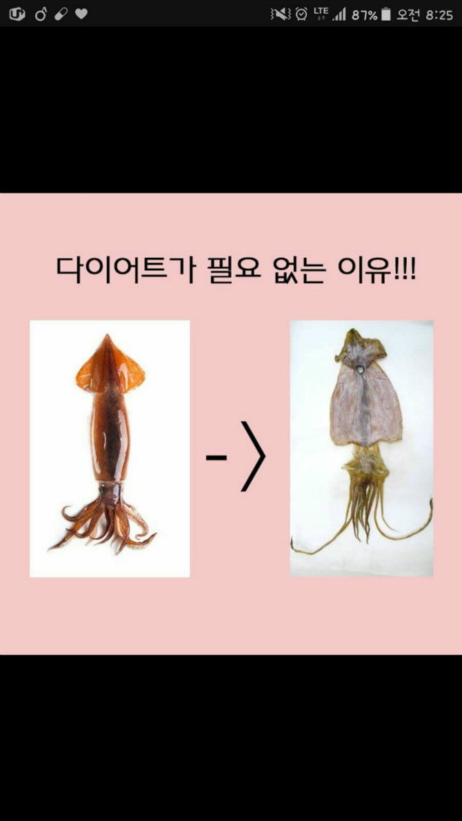 우리들이 다이어트를 할 필요가 없는 이유.jpg > 유머게시판 | 퀘이사존 QUASARZONE 우리들이 다이어트를 할 필요가 없는 이유.jpg