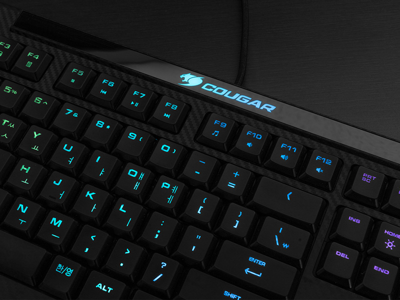COUGAR AURORA S > 리뷰 | 퀘이사존 QUASARZONE COUGAR AURORA S