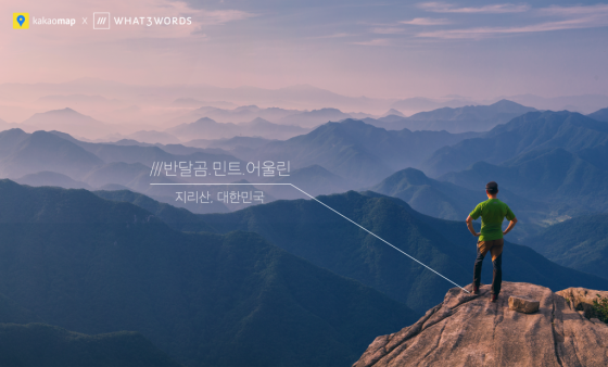 퀘이사존