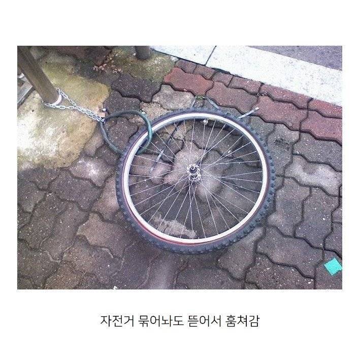 엄복동의 나라 > 유머게시판 | 퀘이사존 QUASARZONE 엄복동의 나라