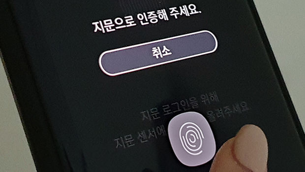 퀘이사존